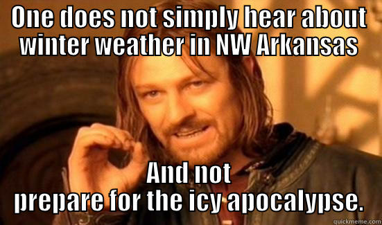 ONE DOES NOT SIMPLY HEAR ABOUT WINTER WEATHER IN NW ARKANSAS AND NOT PREPARE FOR THE ICY APOCALYPSE. Boromir