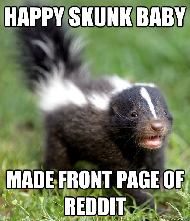 Happy Skunk Baby made front page of reddit  