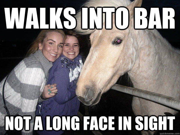 walks into bar not a long face in sight  Ridiculously Photogenic Horse