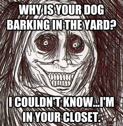 Why is your dog barking in the yard? I couldn't know...I'm in your closet.  Horrifying Houseguest