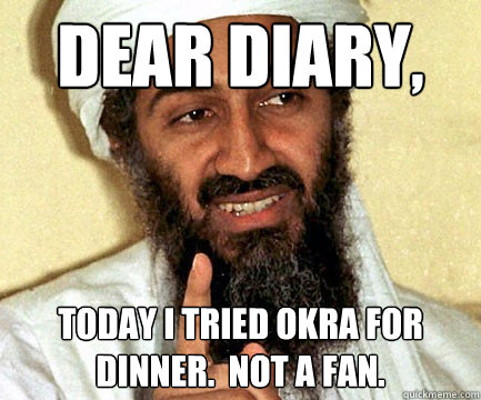 Dear Diary, Today i tried okra for dinner.  Not a fan.  