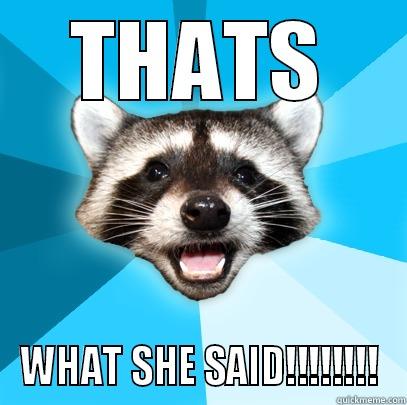 thats what she said - THATS WHAT SHE SAID!!!!!!!! Lame Pun Coon