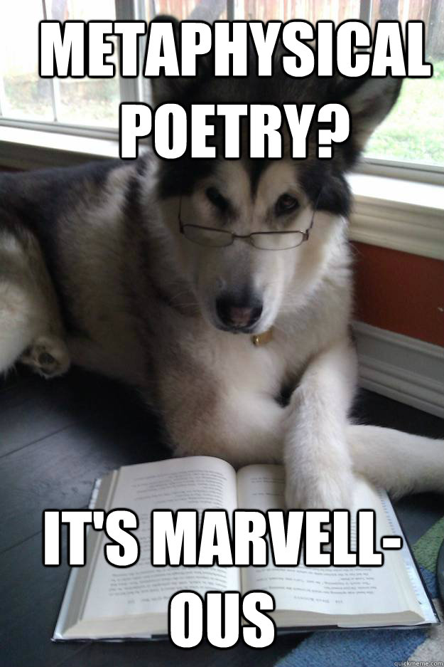 Metaphysical poetry? It's Marvell-ous  Condescending Literary Pun Dog