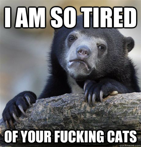 I am so tired of your fucking cats  Confession Bear