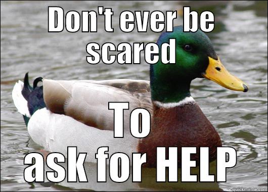 DON'T EVER BE SCARED TO ASK FOR HELP Actual Advice Mallard