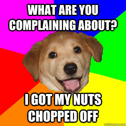 what are you complaining about? i got my nuts chopped off   Advice Dog