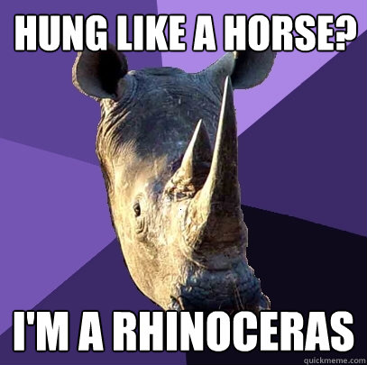 Hung like a horse? I'm a Rhinoceras  Sexually Oblivious Rhino