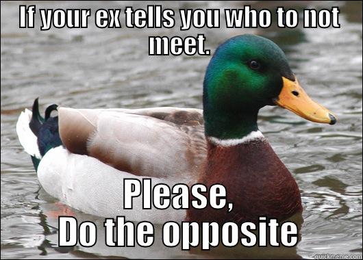 IF YOUR EX TELLS YOU WHO TO NOT MEET. PLEASE, DO THE OPPOSITE Actual Advice Mallard