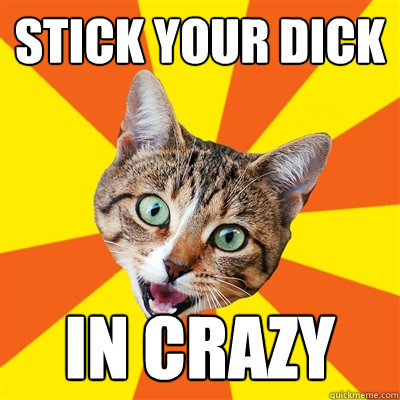 STICK YOUR DICK IN CRAZY - STICK YOUR DICK IN CRAZY  Bad Advice Cat