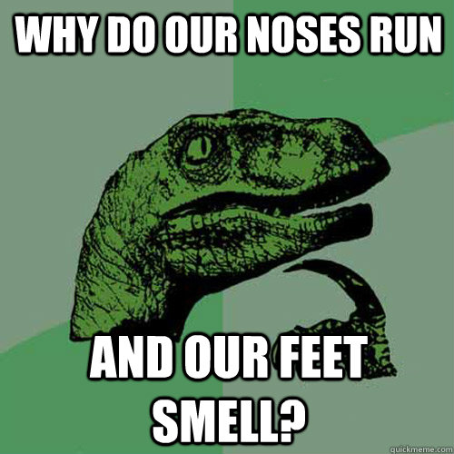 Why do our noses run And our feet smell? - Why do our noses run And our feet smell?  Philosoraptor