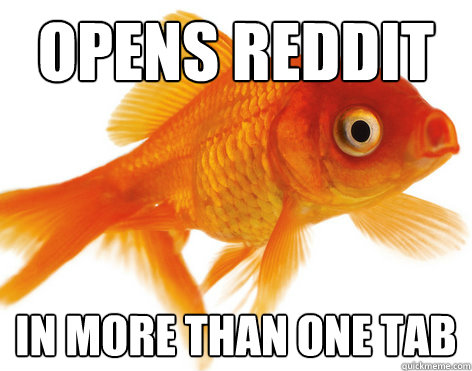 opens reddit in more than one tab  Forgetful Fish