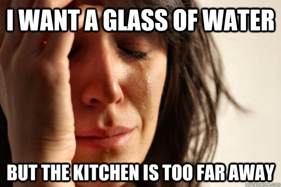 I want a glass of water but the kitchen is too far away   First World Problems