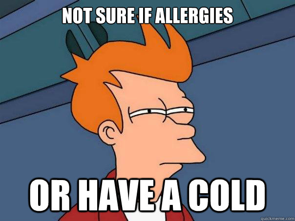 Not sure if Allergies Or have a cold  Futurama Fry