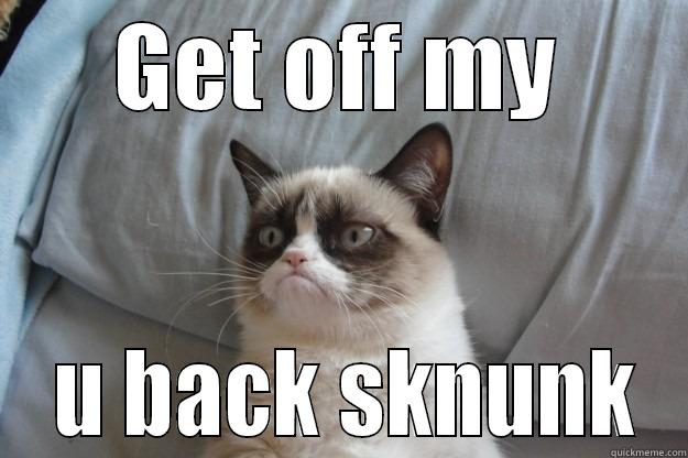 bad mood cat - GET OFF MY  U BACK SKNUNK Grumpy Cat