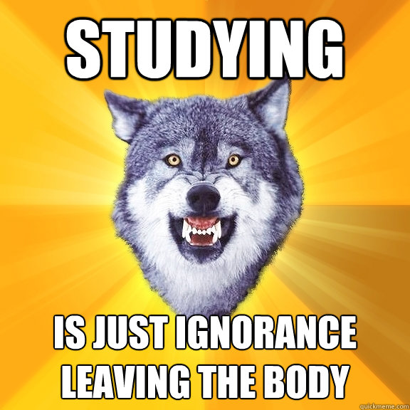 Studying Is just ignorance leaving the body  Courage Wolf