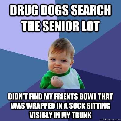 Drug dogs search the senior lot didn't find my frients bowl that was wrapped in a sock sitting visibly in my trunk  Success Kid