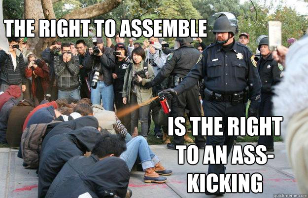 The right to assemble Is the right to an ass-kicking - The right to assemble Is the right to an ass-kicking  Pimp Pepper Spray Cop