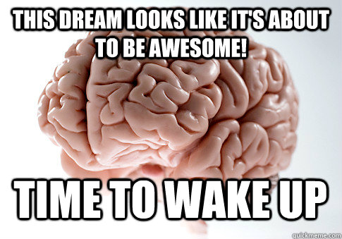 THIS DREAM LOOKS LIKE IT'S ABOUT TO BE AWESOME! TIME TO WAKE UP   Scumbag Brain