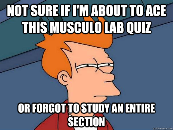 Not sure if i'm about to ace this musculo lab quiz or forgot to study an entire section  Futurama Fry