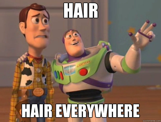 Hair Hair everywhere - Hair Hair everywhere  Toy Story