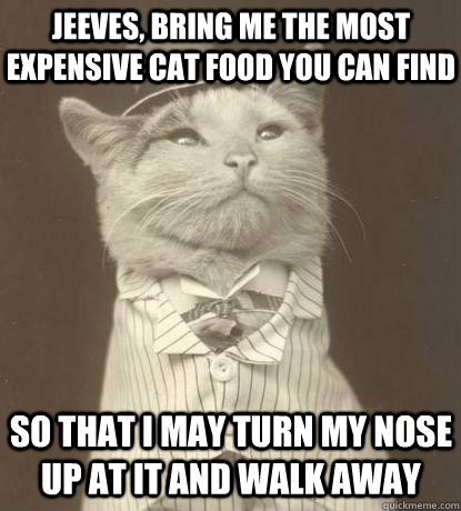 Jeeves, bring me the most expensive cat food you can find so that i may turn my nose up at it and walk away - Jeeves, bring me the most expensive cat food you can find so that i may turn my nose up at it and walk away  Aristocat