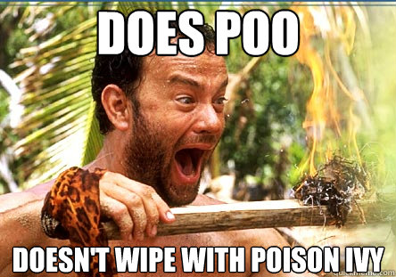 does poo doesn't wipe with poison ivy  