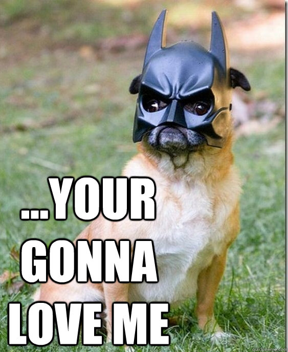 ...Your gonna love me - ...Your gonna love me  Batman pug