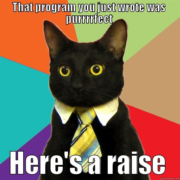 THAT PROGRAM YOU JUST WROTE WAS PURRRRFECT HERE'S A RAISE Business Cat