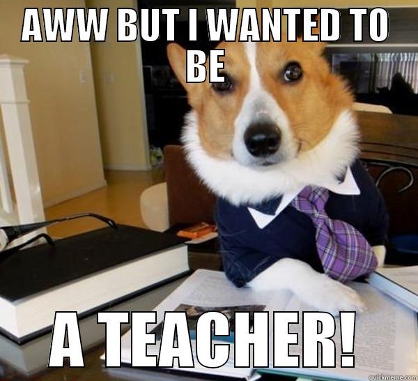 AWW BUT I WANTED TO BE A TEACHER! Lawyer Dog