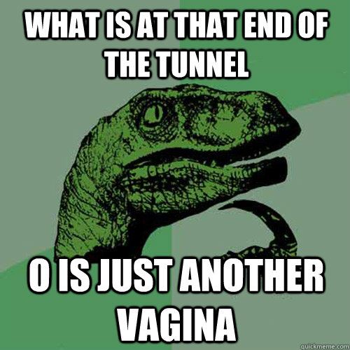 what is at that end of the tunnel O is just another vagina  Philosoraptor