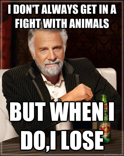 i don't always get in a fight with animals but when I do,i lose  The Most Interesting Man In The World