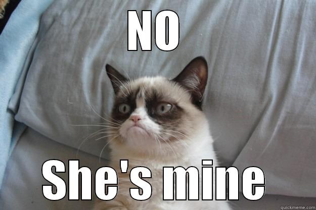 NO SHE'S MINE Grumpy Cat