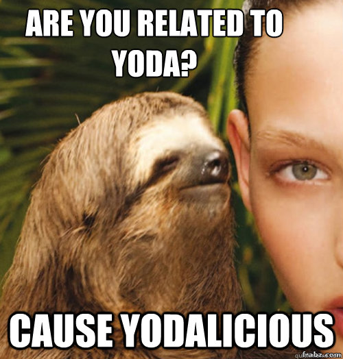 ARE YOU RELATED TO YODA? CAUSE YODALICIOUS  rape sloth