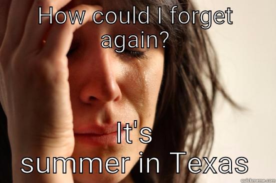 HOW COULD I FORGET AGAIN? IT'S SUMMER IN TEXAS First World Problems