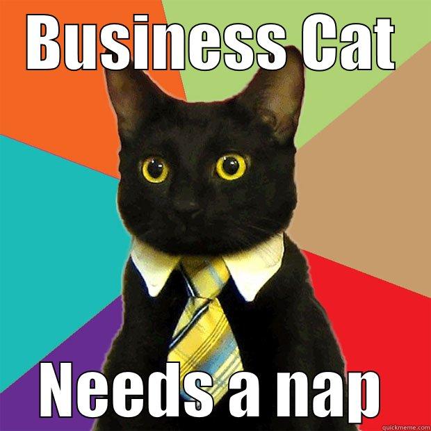 BUSINESS CAT NEEDS A NAP Business Cat