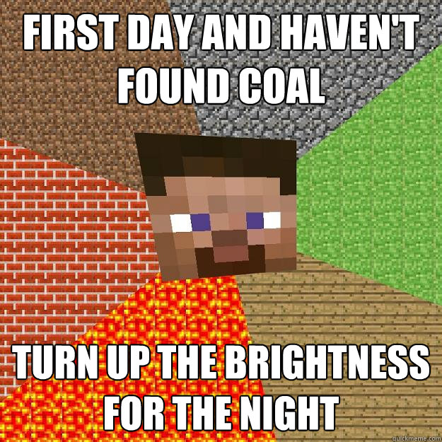 FIRST DAY AND HAVEN'T FOUND COAL TURN UP THE BRIGHTNESS FOR THE NIGHT - FIRST DAY AND HAVEN'T FOUND COAL TURN UP THE BRIGHTNESS FOR THE NIGHT  Minecraft