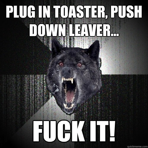 Plug in toaster, push down leaver... Fuck it!  Insanity Wolf