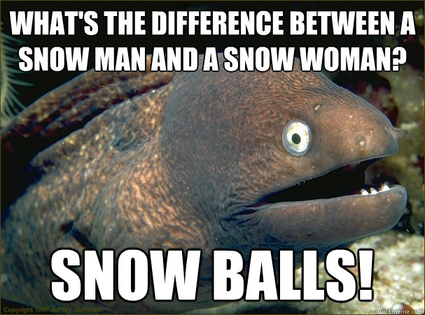 What's the difference between a snow man and a snow woman? snow balls! - What's the difference between a snow man and a snow woman? snow balls!  Bad Joke Eel