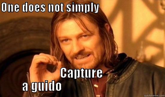 Guido The Great - ONE DOES NOT SIMPLY                                          CAPTURE A GUIDO                                  Boromir