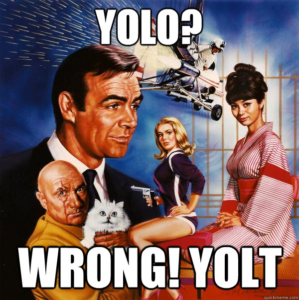 Yolo? Wrong! YOLT  