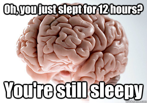 Oh, you just slept for 12 hours? You're still sleepy  Scumbag Brain