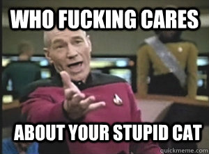 Who fucking cares about your stupid cat  Annoyed Picard