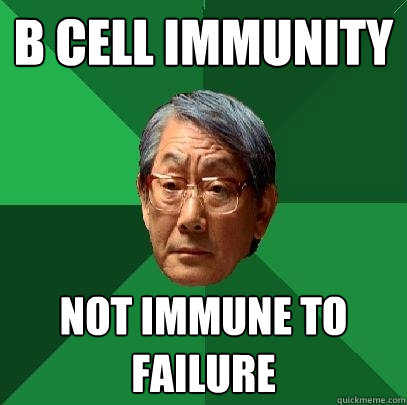 B Cell immunity not immune to failure  High Expectations Asian Father