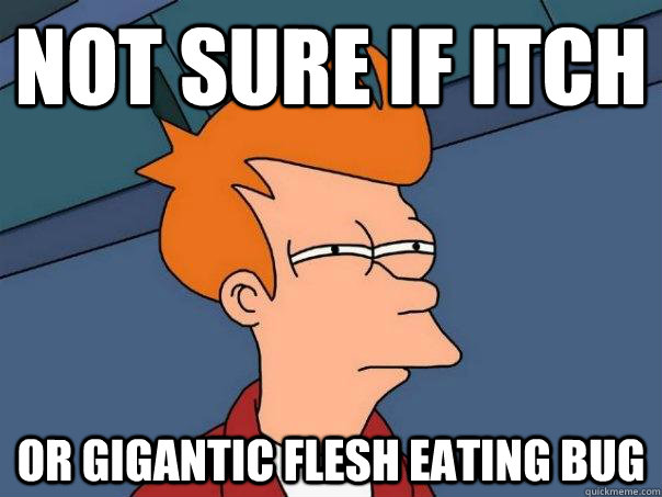 Not sure if itch or gigantic flesh eating bug  Futurama Fry