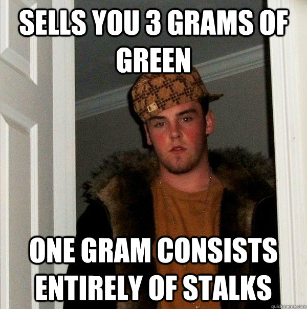 sells you 3 grams of green one gram consists entirely of stalks  Scumbag Steve