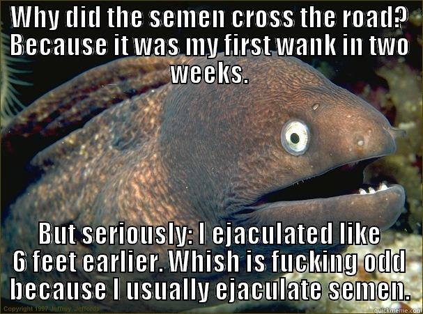 WHY DID THE SEMEN CROSS THE ROAD? BECAUSE IT WAS MY FIRST WANK IN TWO WEEKS. BUT SERIOUSLY: I EJACULATED LIKE 6 FEET EARLIER. WHISH IS FUCKING ODD BECAUSE I USUALLY EJACULATE SEMEN. Bad Joke Eel