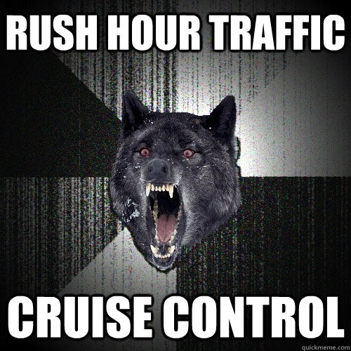 Rush hour traffic cruise control  Insanity Wolf