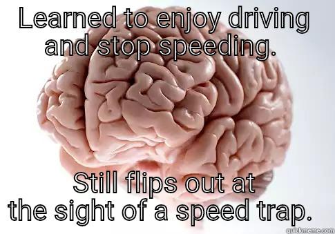 LEARNED TO ENJOY DRIVING AND STOP SPEEDING.  STILL FLIPS OUT AT THE SIGHT OF A SPEED TRAP.  Scumbag Brain