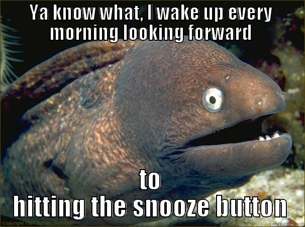 YA KNOW WHAT, I WAKE UP EVERY MORNING LOOKING FORWARD TO HITTING THE SNOOZE BUTTON Bad Joke Eel