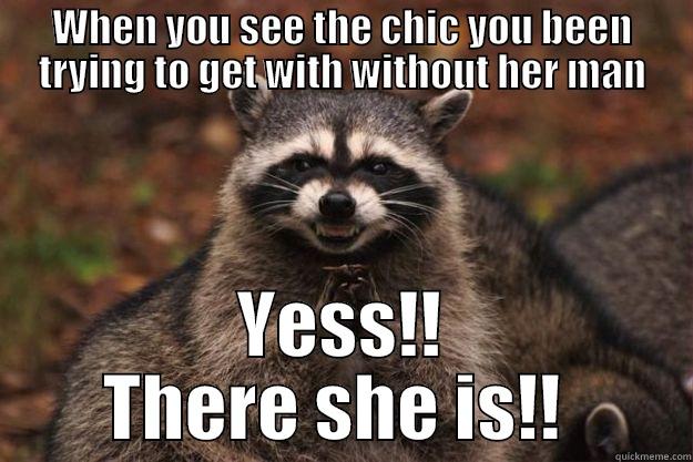 WHEN YOU SEE THE CHIC YOU BEEN TRYING TO GET WITH WITHOUT HER MAN YESS!! THERE SHE IS!!  Evil Plotting Raccoon